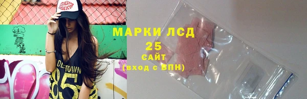 дурь Каменка