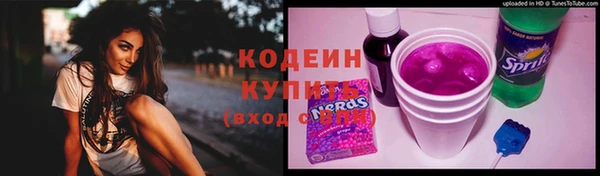 хмурый Каменногорск