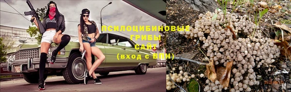 дурь Каменка