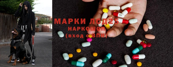 амф Касимов