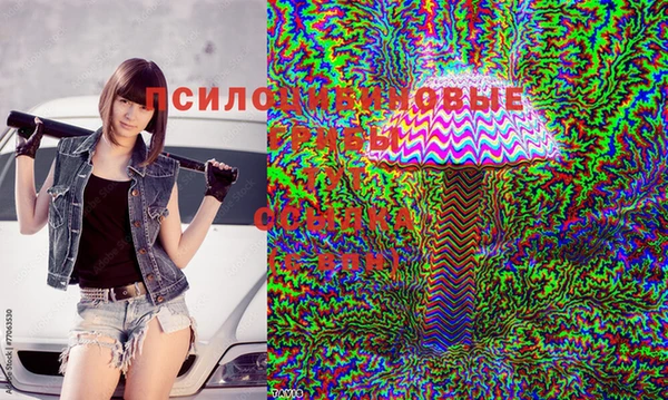 дурь Каменка