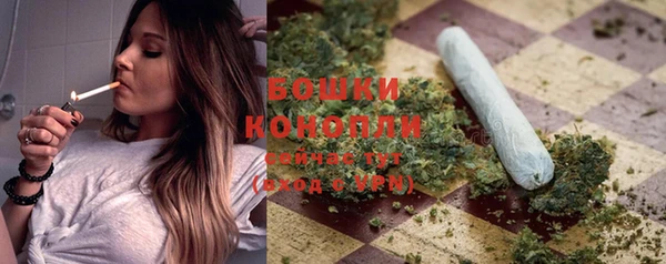 дурь Каменка